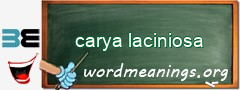 WordMeaning blackboard for carya laciniosa